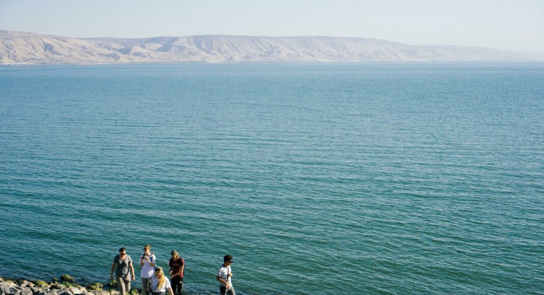 people walking on seashore