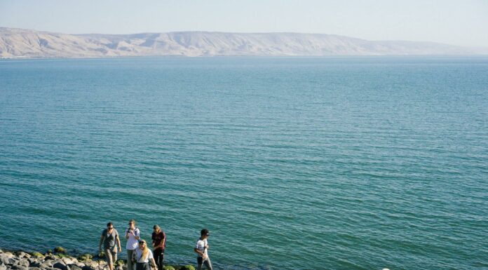people walking on seashore