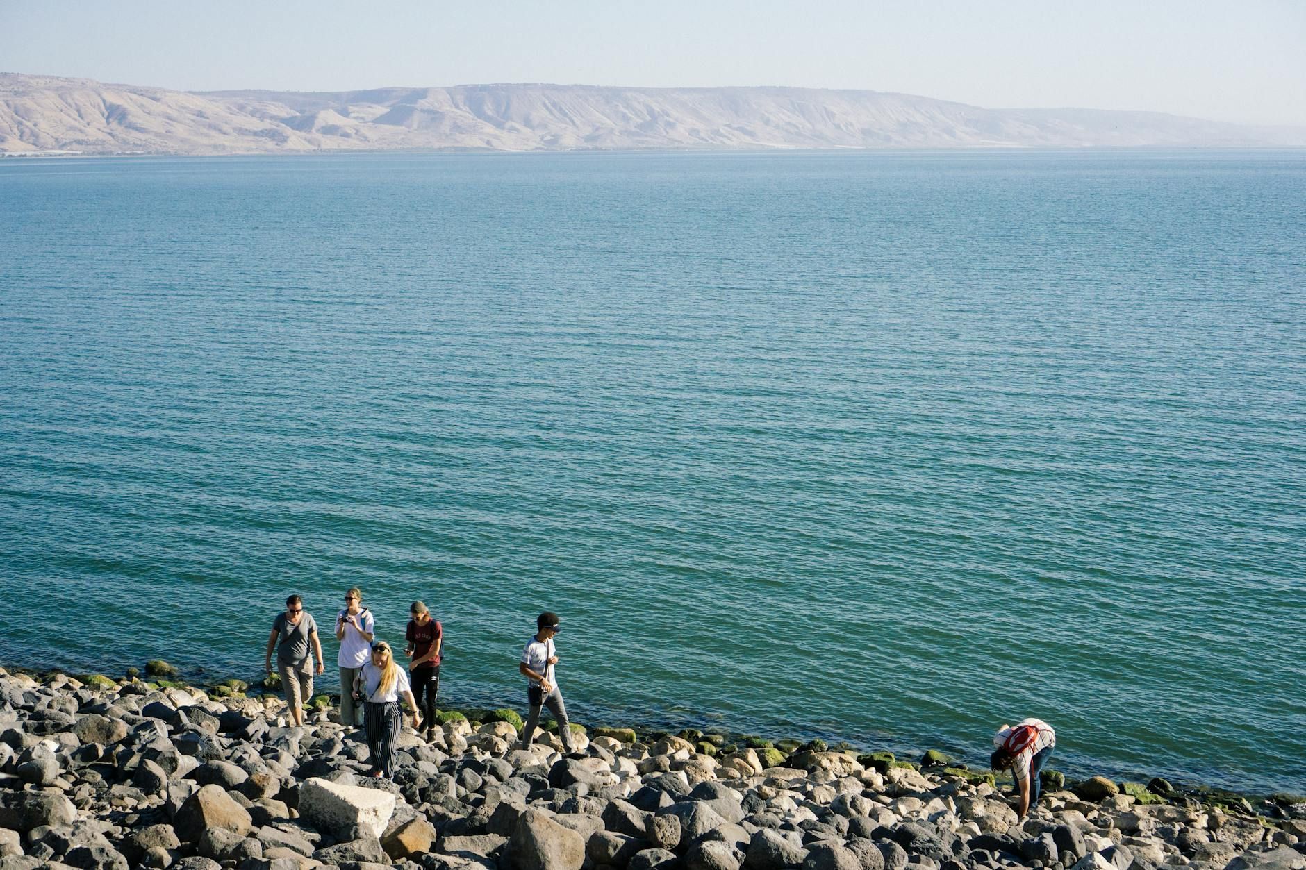 people walking on seashore