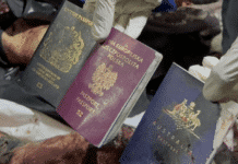 Les ONG continuent à être ciblées par Tsahal à Gaza, WCK déplore désormais 7 morts