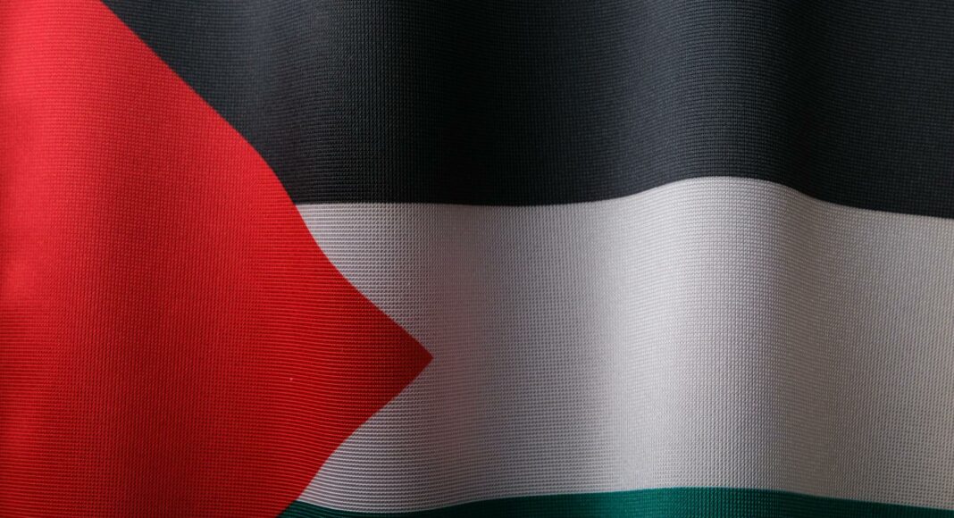 flag of palestine