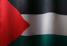 flag of palestine
