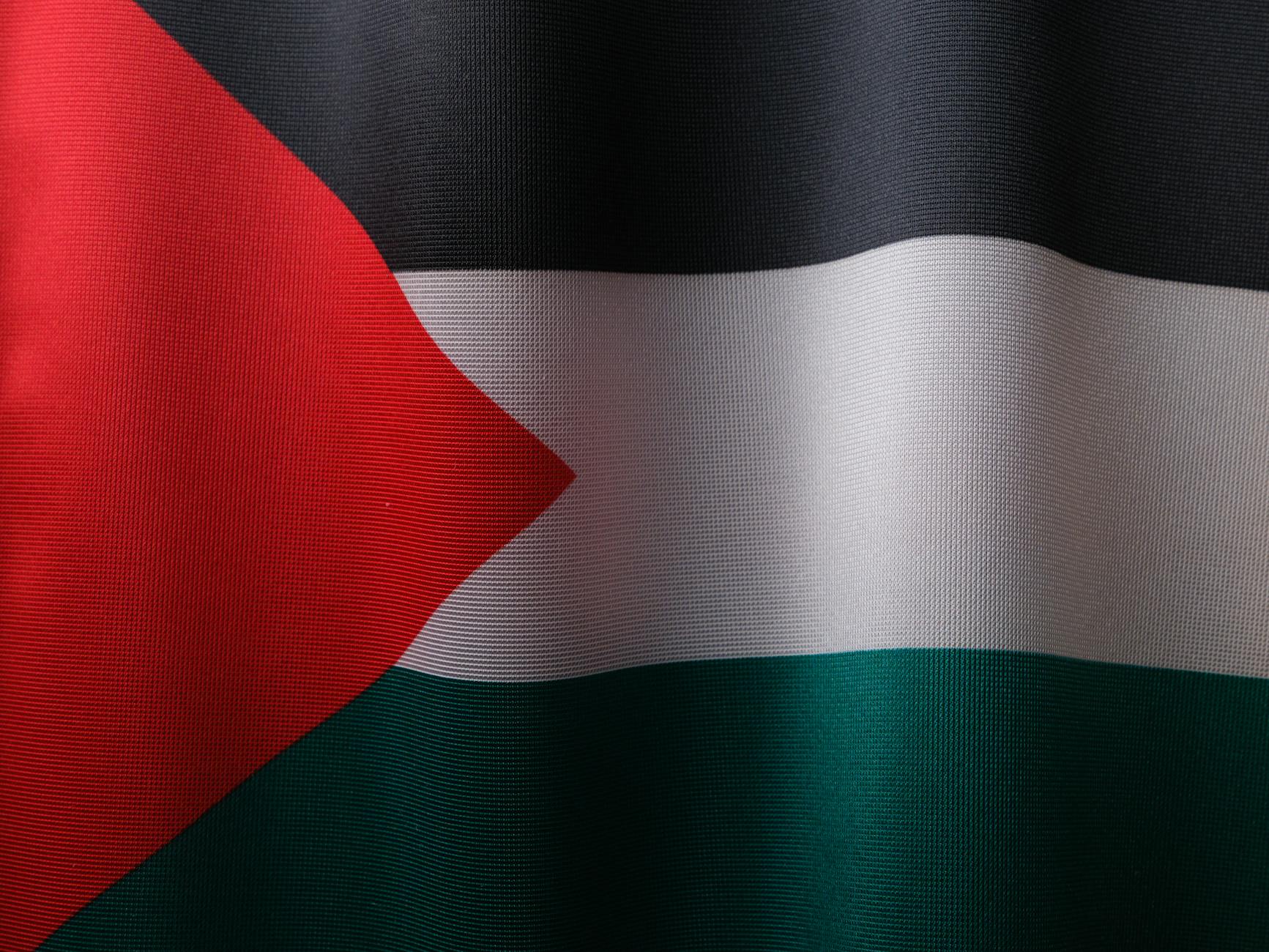 flag of palestine