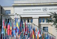 flags of countries in front of the united nations office at geneva