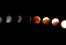 phases of the moon
