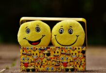 two yellow emoji on yellow case