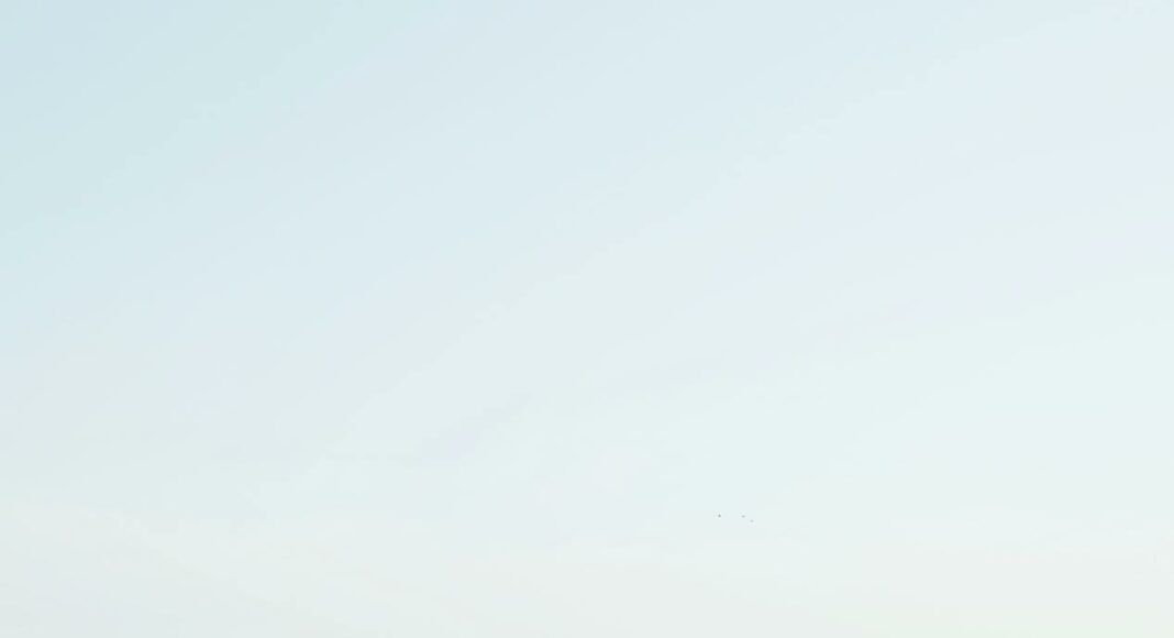 van parked beside the road near handrail and ocean