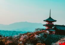 Le Japon annonce la reprise de sa contribution à l’UNRWA red and black temple surrounded by trees photo