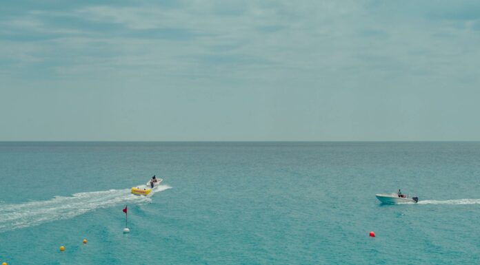 two people rides watercrafts on body of water under clear blue sky