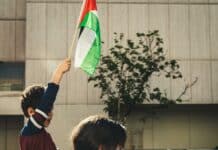 a kid holding a flag
