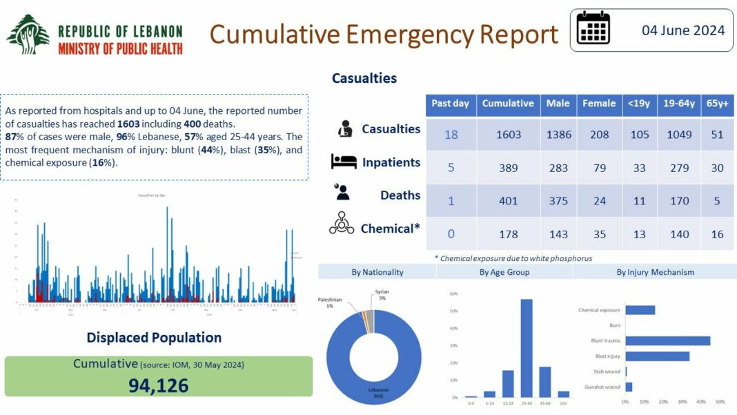 Bilan actuel des combats au sud du Liban