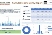 Bilan actuel des combats au sud du Liban
