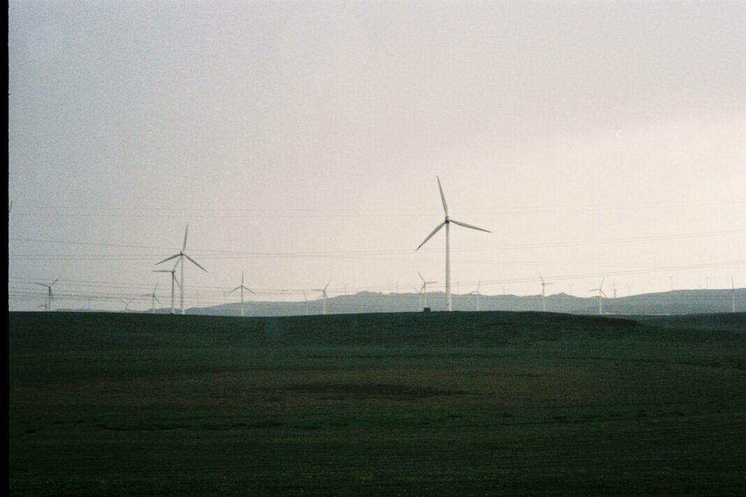 film photo of a field with wind turbines