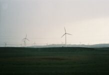 film photo of a field with wind turbines