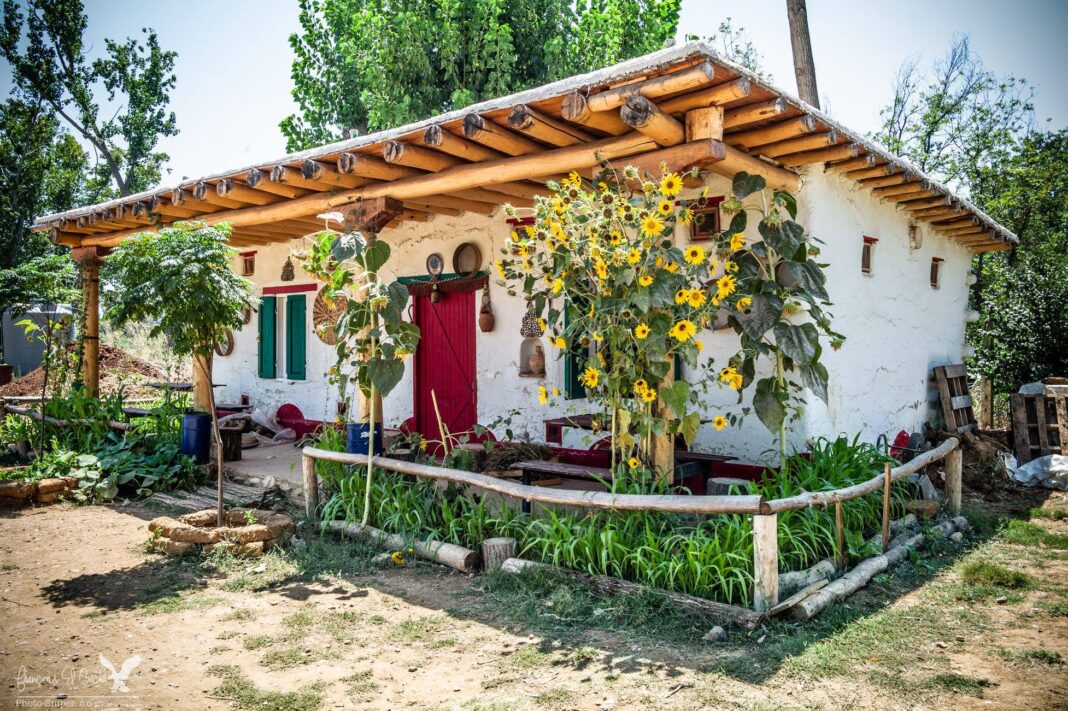 70 % du secteur agricole libanais affecté par le conflit : une crise sans précédent