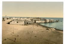 Pétition nationale contre les atteintes au littoral de Tyr : la société civile se mobilise