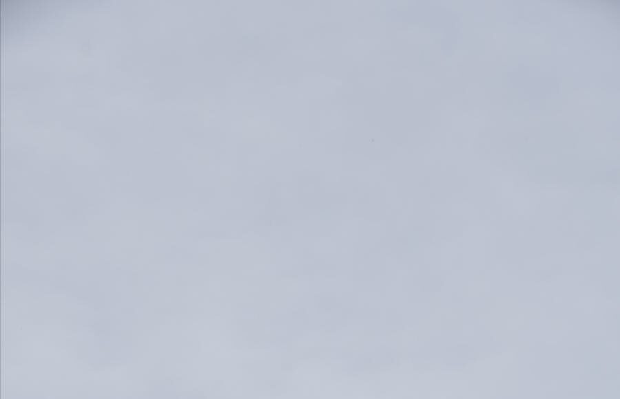 bird on the sculpture of a distraught cain in paris tuileries garden