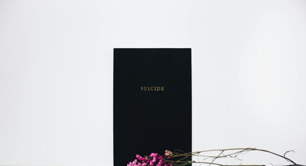 purple petaled flowers near black book