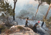 Plusieurs incendies de forêt ravagent le Liban