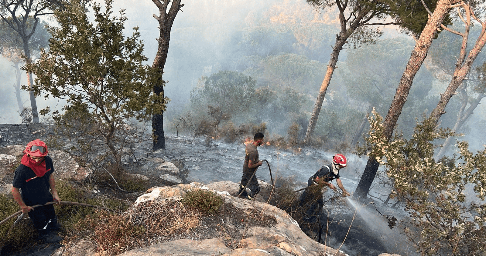 Plusieurs incendies de forêt ravagent le Liban Plusieurs incendies de forêt ravagent le Liban