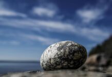 macro photo of a rock