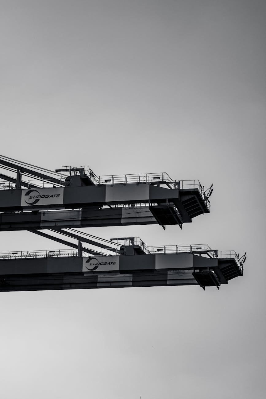 black and gray crane under gray sky