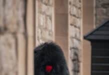 person in red coat wearing black hat