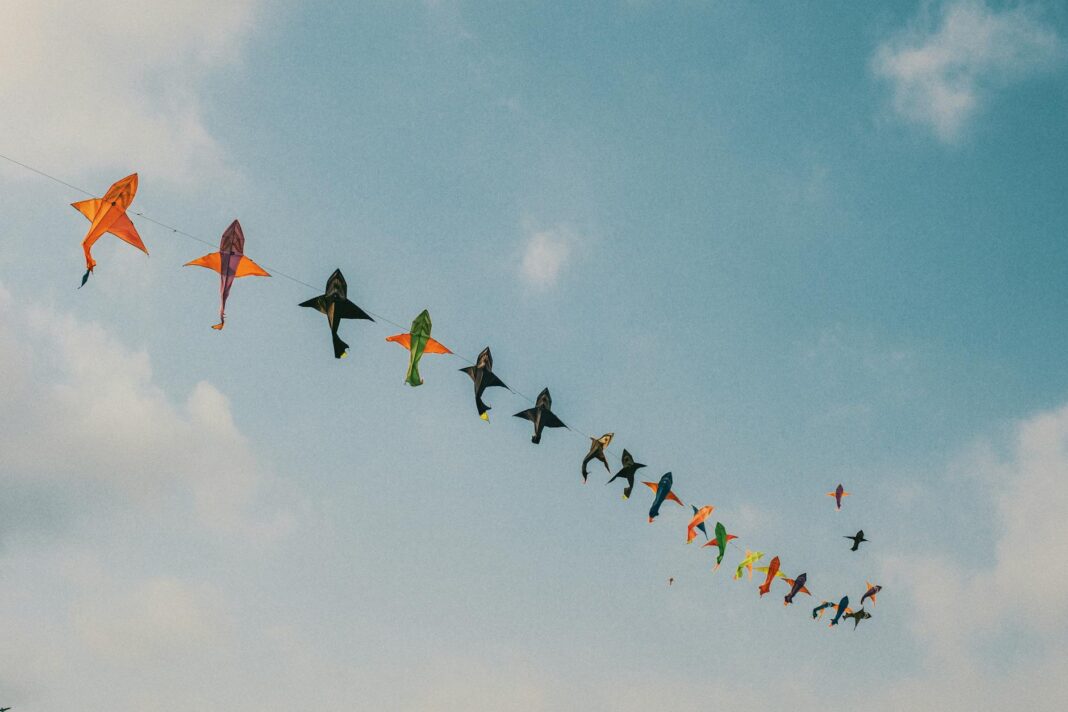 assorted color kites