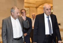 Bassil et Berri appellent à l’unité nationale et à la mise en œuvre de la Résolution 1701