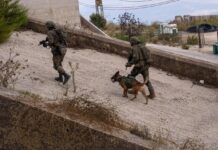 Israël fait souffler le chaud et le froid et envisage une extension de son offensive contre le Liban