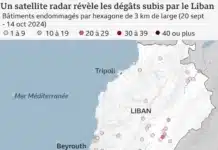 Liban : une stratégie israélienne de destruction systématique exacerbe la crise humanitaire