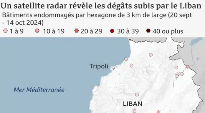 Liban : une stratégie israélienne de destruction systématique exacerbe la crise humanitaire