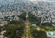green gardens in cityscape