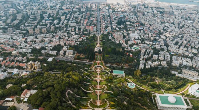 green gardens in cityscape