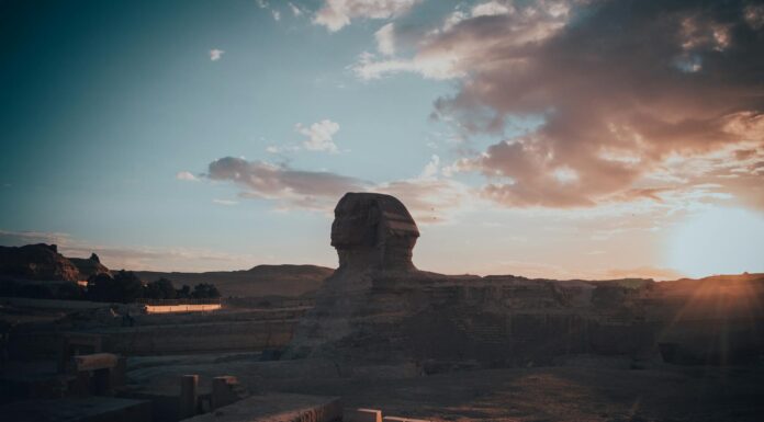 sphynx egypt