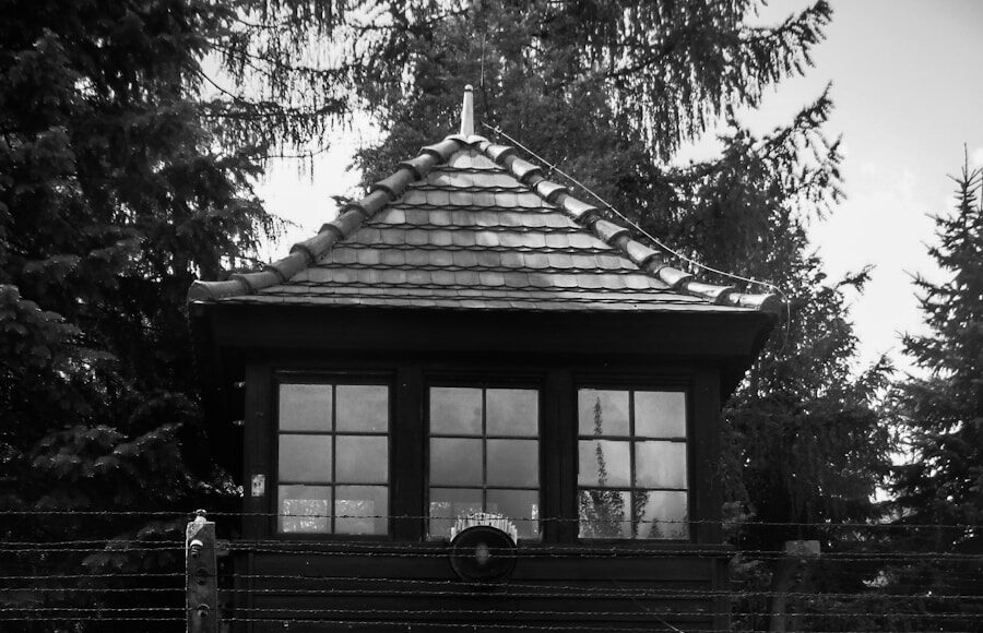 grayscale photography of house