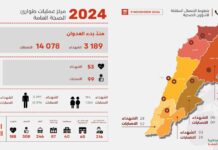 Le Liban face à un bilan humain et sanitaire lourd depuis le début du conflit
