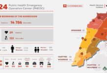 Rapport quotidien du ministère de la Santé : 29 martyrs et 122 blessés en une journée Rapport quotidien du ministère de la Santé : 29 martyrs et 122 blessés en une journée