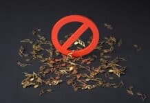 Les droits de propriété au Liban : un système en crise reflété par un faible classement mondial a pile of musical notes and a red sign