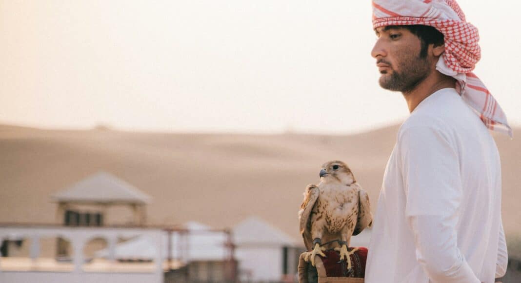 man standing beside eagle during daytime