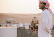 Revue de la presse arabe: le Liban au cœur des tensions régionales man standing beside eagle during daytime