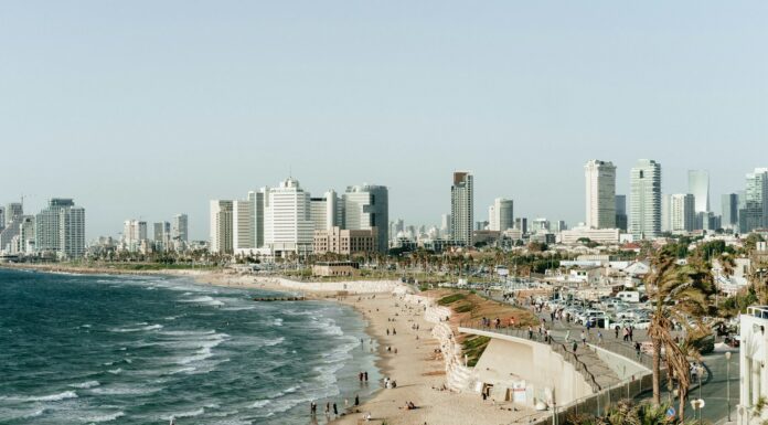 people on seashore under gray sky during daytime