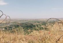 green field under white and gray sky