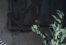 Le café plus cher que jamais : les raisons derrière la flambée des prix person pouring milk on glass mason jar