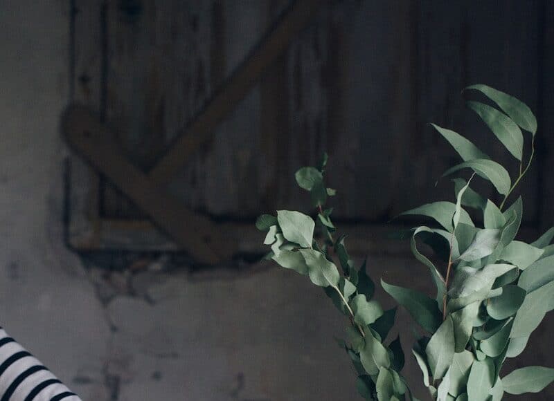 person pouring milk on glass mason jar