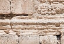 man sitting at table beside standing man at daytime