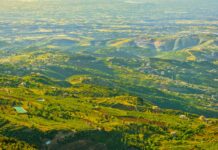 Revue de presse du 26/12/24: Le Liban s’inquiète de la hausse des tensions communautaires en Syrie a landscape with trees and water