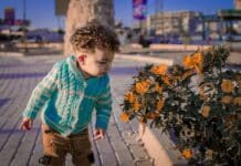 A small child is playing with a flower pot