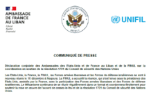 Réunion conjointe pour soutenir la résolution 1701 face aux violations continues du cessez-le-feu au Sud-Liban Réunion conjointe pour soutenir la résolution 1701 face aux violations continues du cessez-le-feu au Sud-Liban