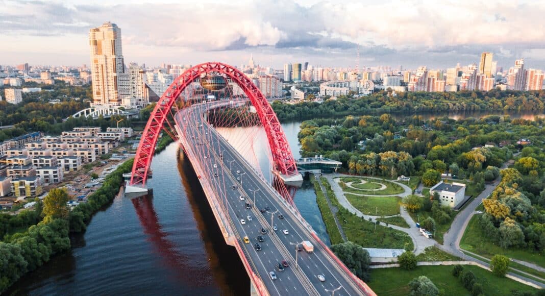 landscape photography of trees